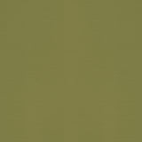 Elements Roller Blind Avacado