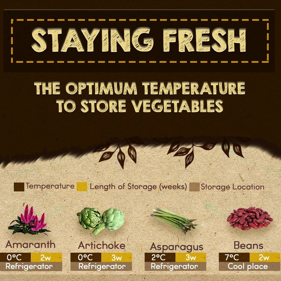 Staying Fresh: The Optimum Temperature to Store Vegetables